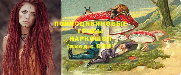 бошки Магас