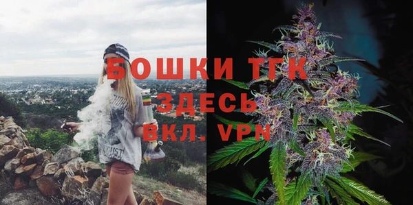 твердый Лабытнанги