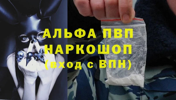 скорость Ладушкин
