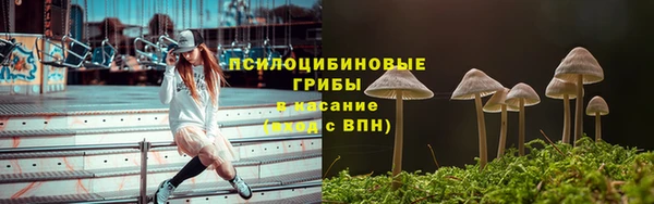 твердый Лабытнанги