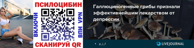 hydra онион  Ленинск-Кузнецкий  Галлюциногенные грибы Psilocybe 